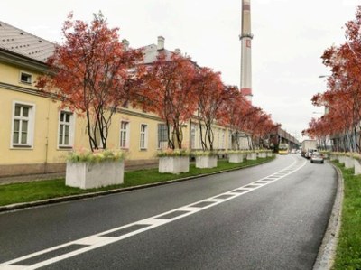 Betonové květináče ve Vítkovicích