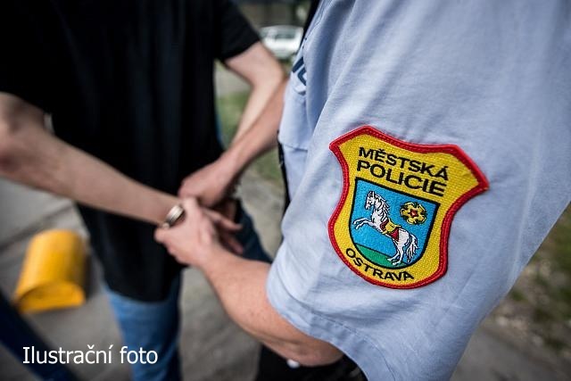 Krádeží si chtěli vylepšit rodinný rozpočet