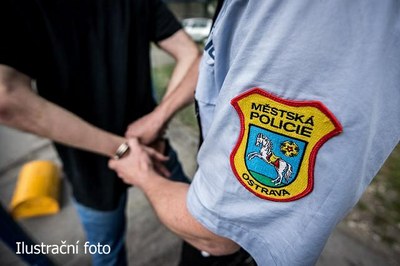 Krádeží si chtěli vylepšit rodinný rozpočet