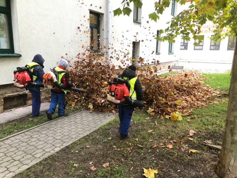 Listopadový úklid listí