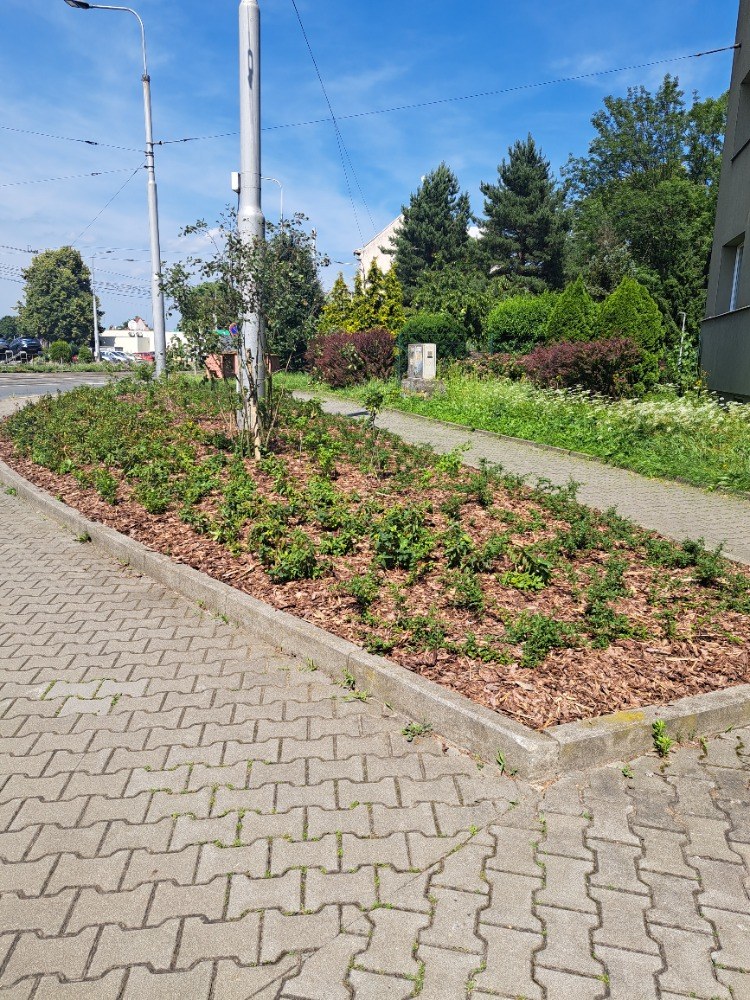 Proměna nevzhledných ploch ve Vítkovicích: zeleň a estetika opět vítězí