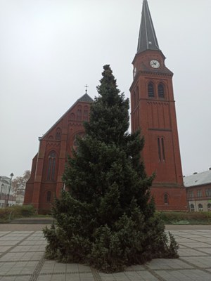 Vánoční strom na Mírovém náměstí