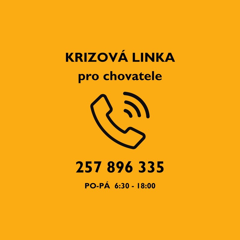 Informace o virovém onemocnění (slintavka a kulhavka)