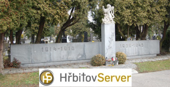 pohled na vítkovický hřbitov